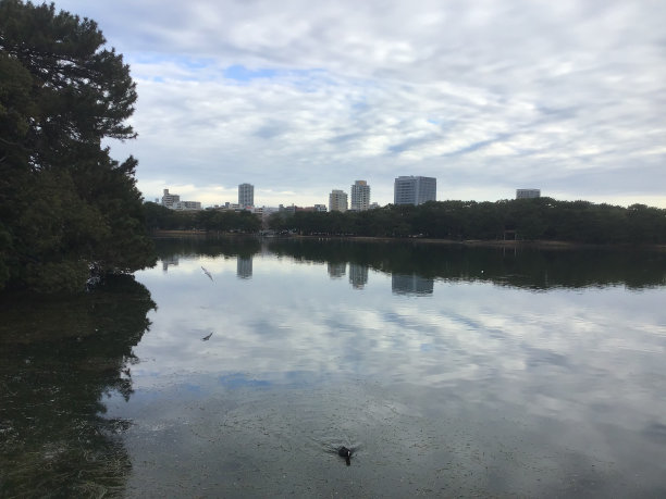 福冈大堀公园的风景图片下载