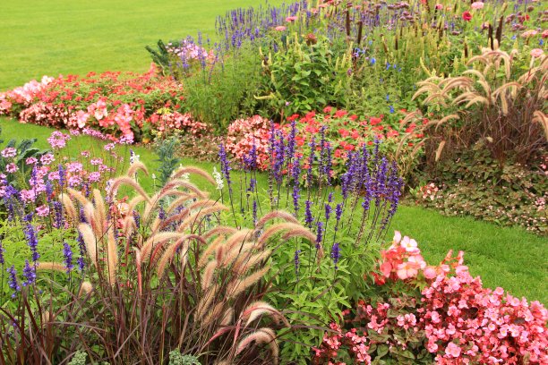 穿过花坛图片下载