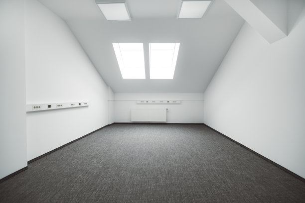 明亮的白色房间，铺着地毯，有两扇天花板窗户图片下载