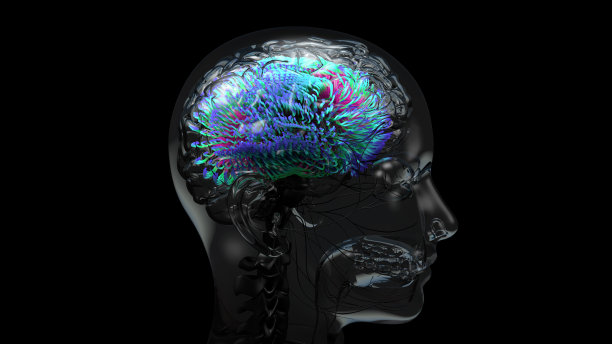 人类大脑，神经元连接。彩色大脑MRI扫描图片下载