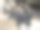 羊驼 （维库尼亚帕科斯 - 喇嘛帕科斯）， 阿尔帕卡或阿尔帕加图片下载