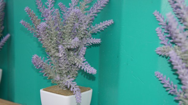 花盆里的紫色花，人造花图片下载