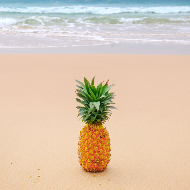 热带夏季喜悦。海滩上的新鲜菠萝。图片下载