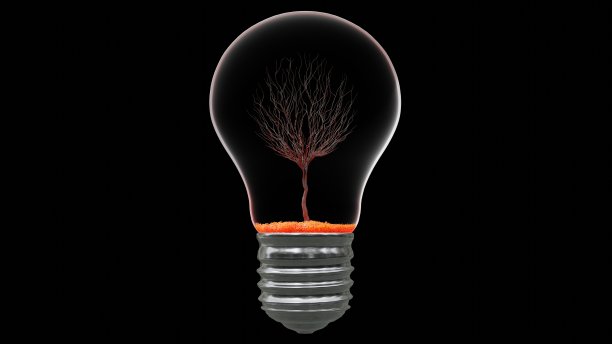 灯泡里面有树，背景是黑色。绿色能源的概念。图片下载
