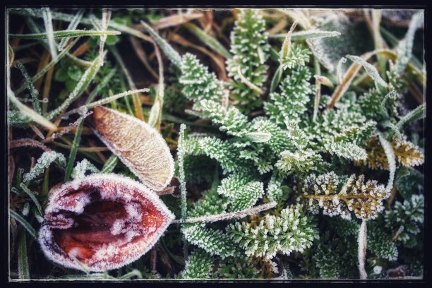 冬天的时间很美，很美图片下载