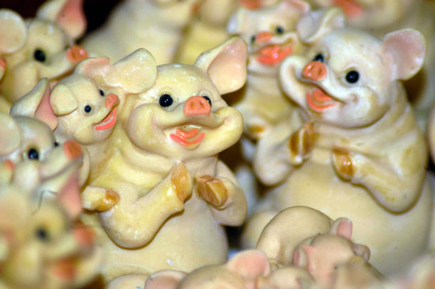 猪作为幸运符图片下载