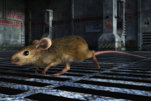 一个小家鼠的3D插图图片下载