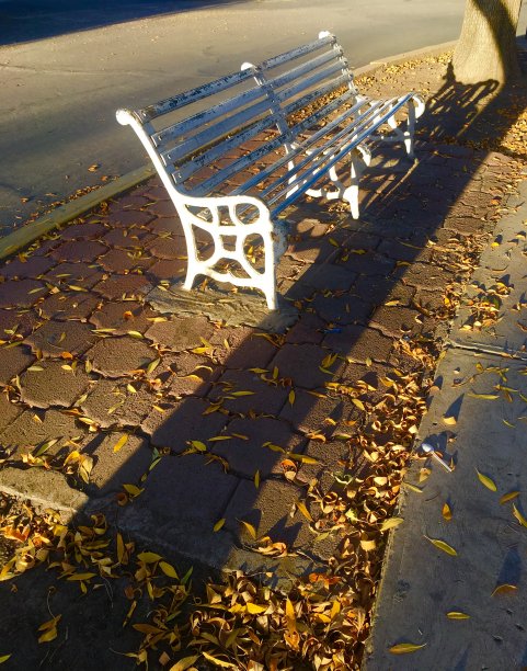 享受阳光图片下载