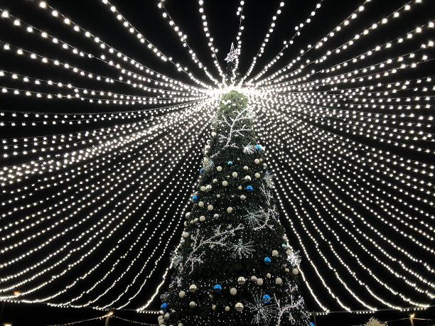 大的新年树周围有白色的光花环站在夜晚的街道上。图片下载