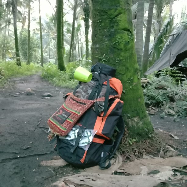 背包&椰子树图片下载