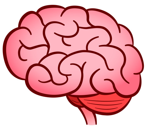 矢量人脑隔离设计图片下载