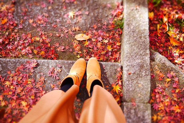 秋天的脚图片下载