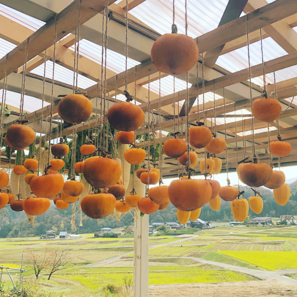 柿子干图片下载