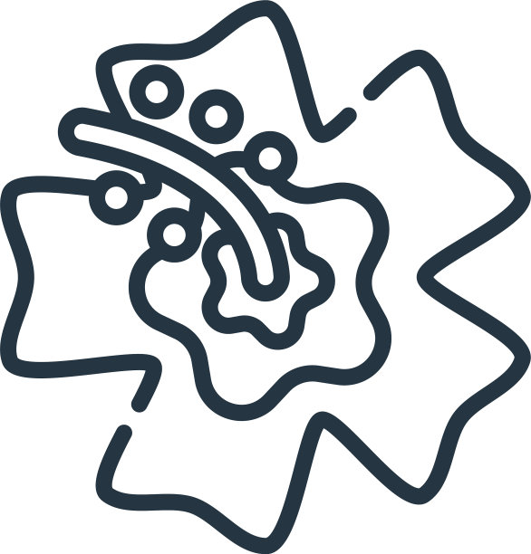 花图标花可编辑的笔触花线性图片下载