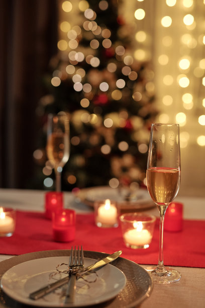 圣诞晚餐准备就绪图片下载