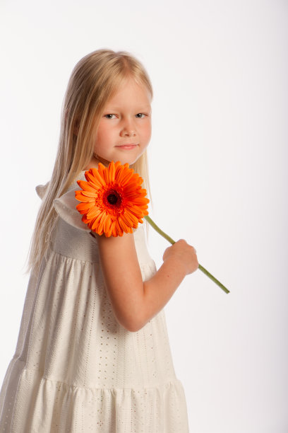 工作室肖像可爱的金发女孩在白色连衣裙与单一非洲菊花，白色背景，选择性焦点图片下载