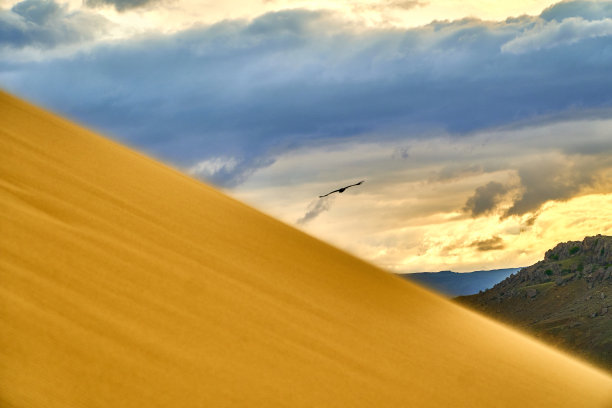 沙漠。沙丘。蓝天白云。鸟在日落时分。山脉。天空。图片下载