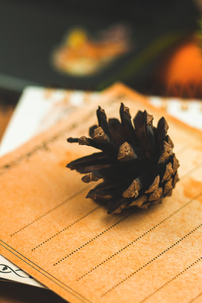 近距离拍摄松果，温馨的冬秋照片，明信片和装饰，垂直构图图片下载