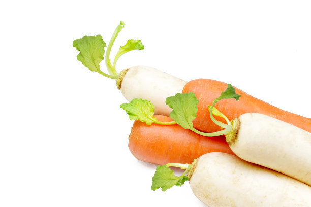 孤立在白色背景上的胡萝卜和萝卜图片下载