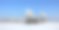 冬天的风景，结霜的树木在雾蒙蒙的背景图片下载
