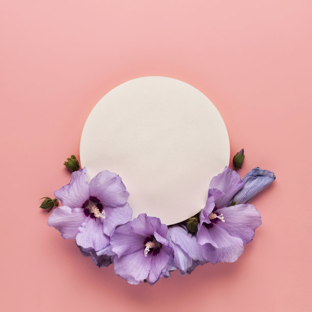 花的组成，紫色的花在珊瑚的背景与空白图片下载