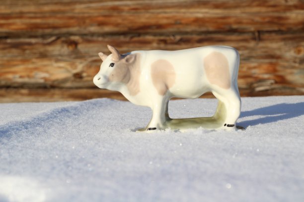 牛小金人是农历2021年的象征。冬日白雪上的角白斑点牛雕像图片下载