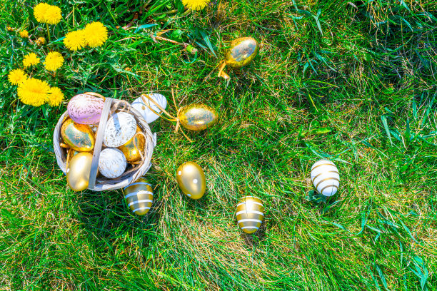 复活节彩蛋的背景。绿草如茵的庆祝篮里，金色的鸡蛋和黄色的春花。复活节装饰，极简的蛋箔设计，现代的设计模板。图片下载