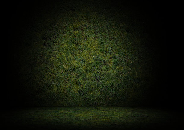 松树和草地板墙背景纹理俯视图3d渲染图片下载