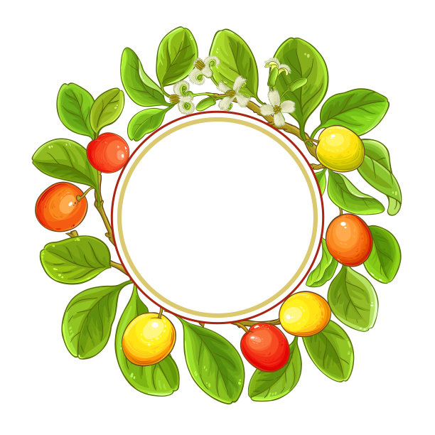 ximenia矢量框架图片下载