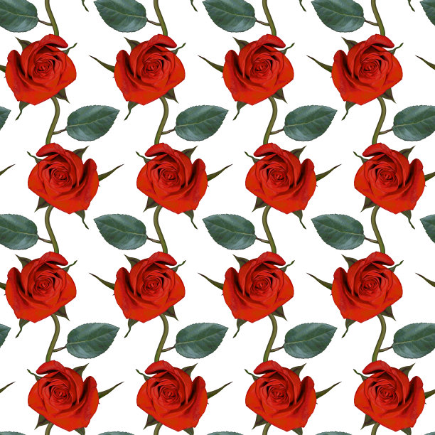 无缝图案与红玫瑰花和绿叶在白色的背景。五彩缤纷的花卉纹理。光栅插图。图片下载