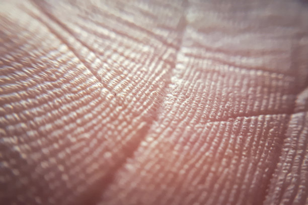 宏观的人类皮肤纹理。健康棕色白种人皮肤的皮肤病学模式。皮肤的特写细节图片下载