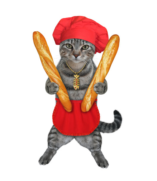 灰猫面包师拿着法国面包图片下载