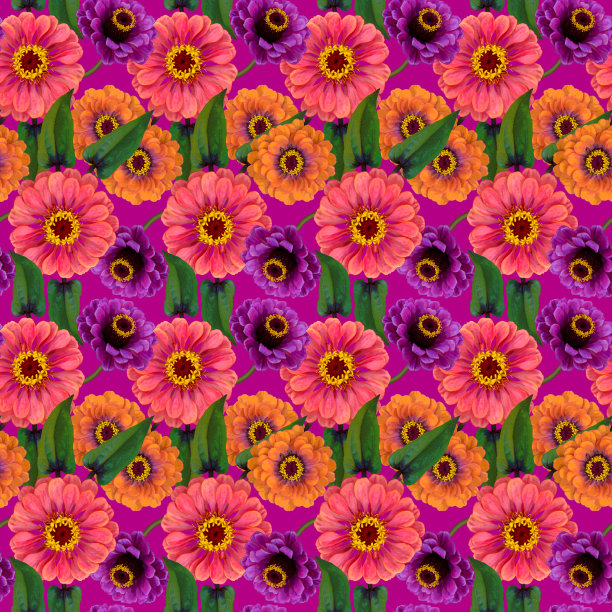 无缝图案，粉红色，紫色，橙色百日草花和绿色的叶子在紫罗兰的背景。五彩缤纷的花卉纹理。光栅插图。图片下载