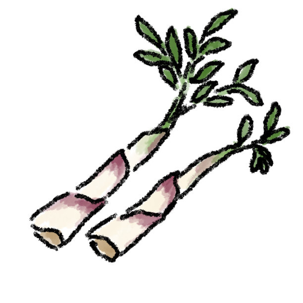 Udo插图水彩图片下载