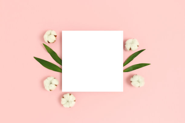 方形纸卡模型与框架由棉花和绿色的树叶在粉红色的背景。图片下载