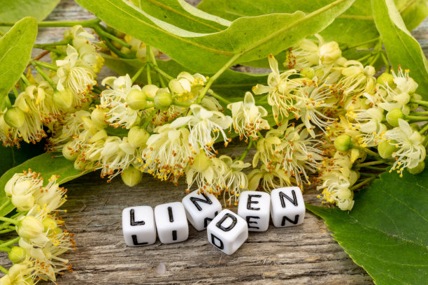 鲜花上的椴树茶与根据题词的文字。仍然生活。图片下载