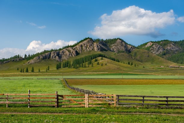 阿尔泰山的木栅栏图片下载
