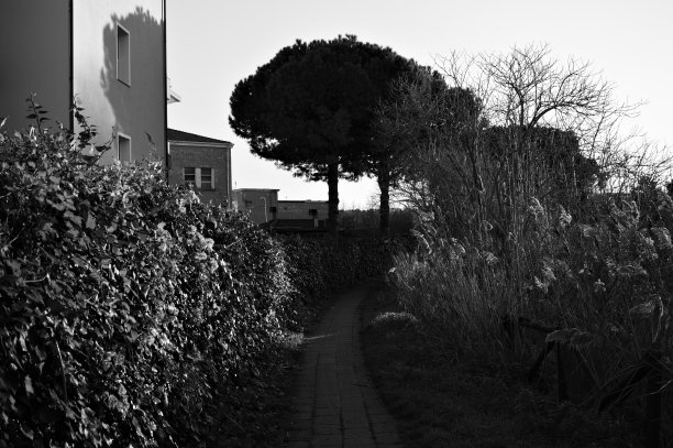 公园里有植物和树木的人行道(意大利马尔凯佩萨罗)图片下载