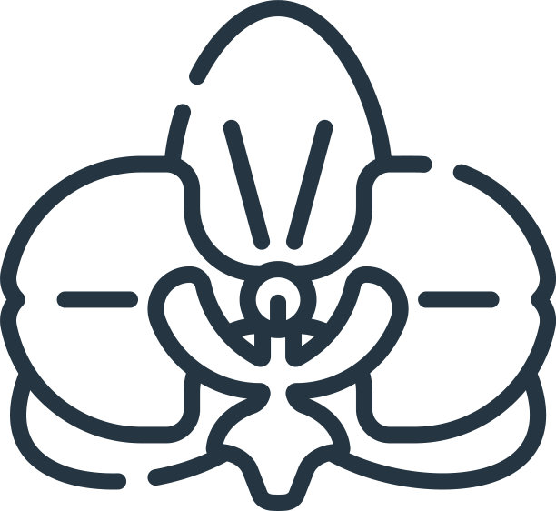 花图标花可编辑的笔触花线性图片下载