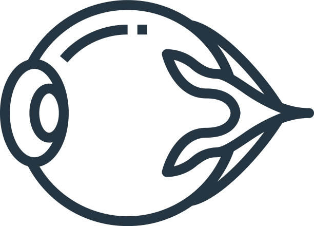 眼球图标眼球可编辑的中风眼球图片下载