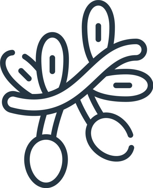 橄榄色图标孤立在白色背景轮廓图片下载