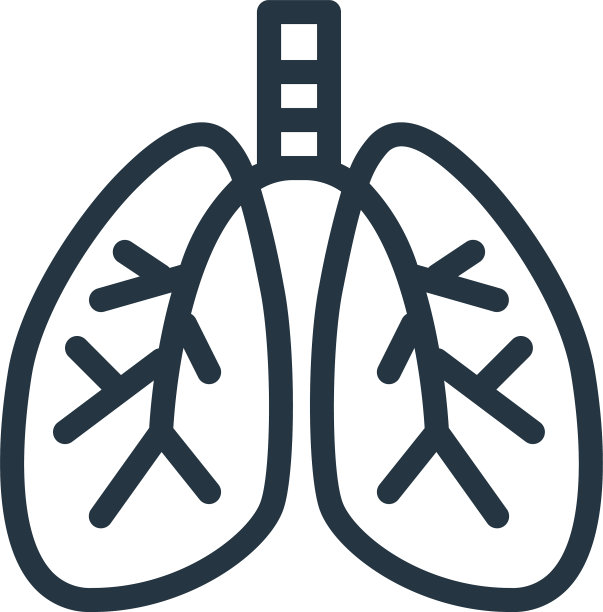 肺图标孤立在白色背景轮廓上图片下载