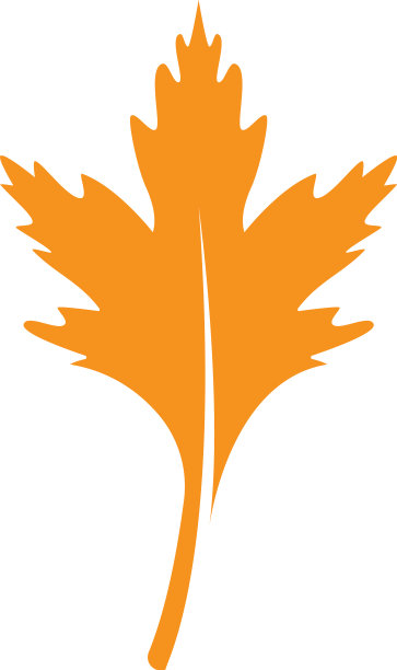 橡树叶子标志图片下载