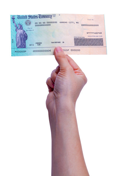 持有报税表图片下载