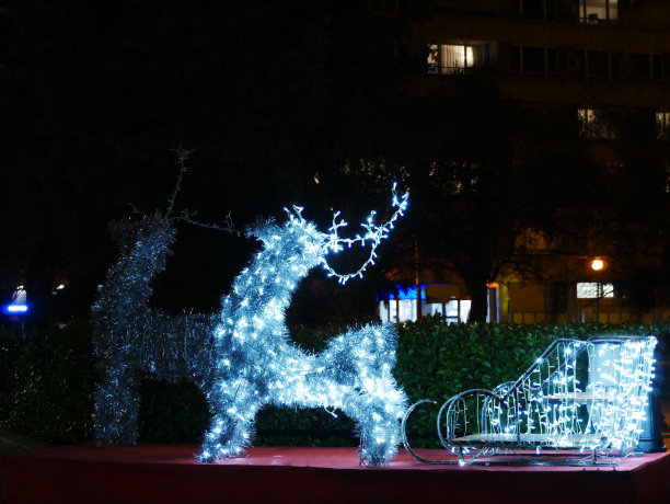 照明的驯鹿图片下载