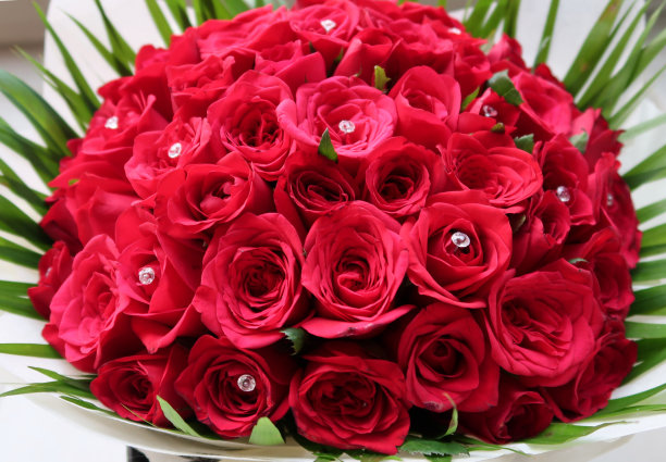 这是一束红色的玫瑰，周围是绿色的叶子和小圆水晶，情人节浪漫的鲜花照片。图片下载