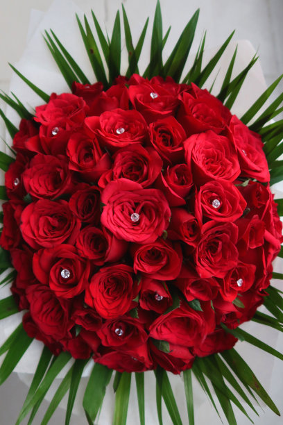 这是一束红色的玫瑰，周围是绿色的叶子和小圆水晶，情人节浪漫的鲜花照片。图片下载