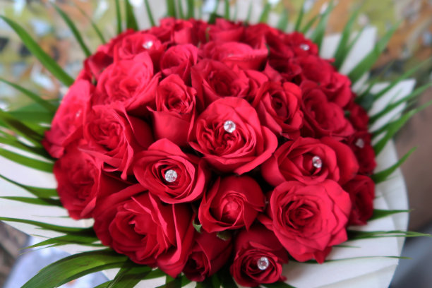 这是一束红色的玫瑰，周围是绿色的叶子和小圆水晶，情人节浪漫的鲜花照片。图片下载