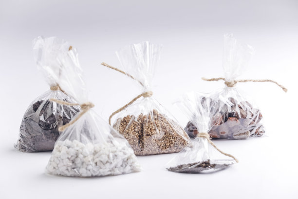 用泥土、种子和石头装在花盆里的包。图片下载