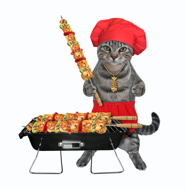 猫灰在烤肉串上烤肉图片下载